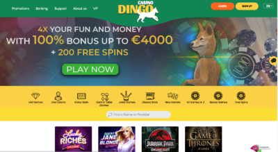 Casino Dingo